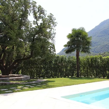 Oleandro 1 In Cerutti